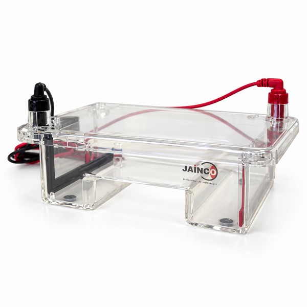 Gel Electrophoresis System